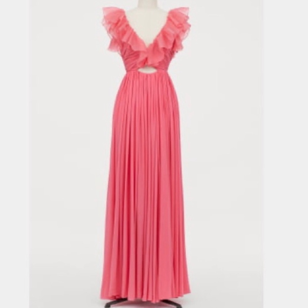 Giambattista Valli x H&M Gown